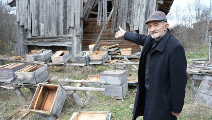 Kış uykusuna yatamayan ayılar, indikleri köyde 50 arı kovanını parçaladı