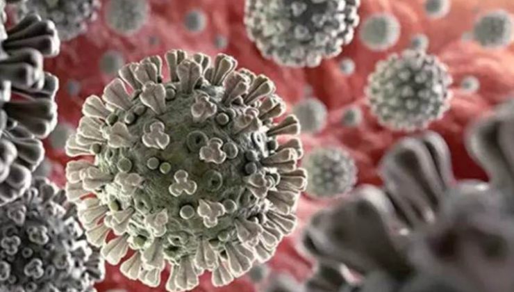 Uzmanından koronavirüse karşı ‘yılbaşı’ uyarısı: ‘Yeni yılı çekirdek aile kutlayın’