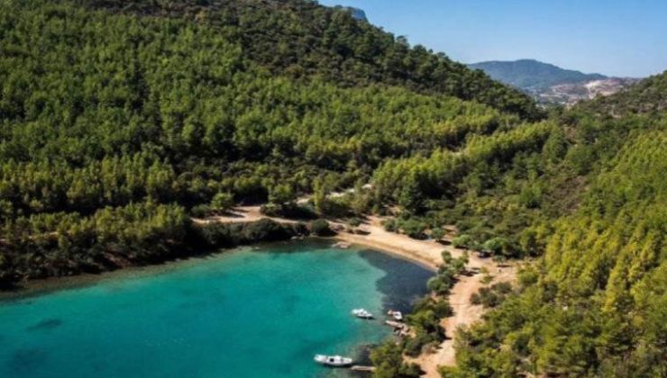 2023’te tanıdık şirketlere 1 trilyon 498 milyar TL’lik 209 bin ihale verildi: İktidar yandaşa çalıştı