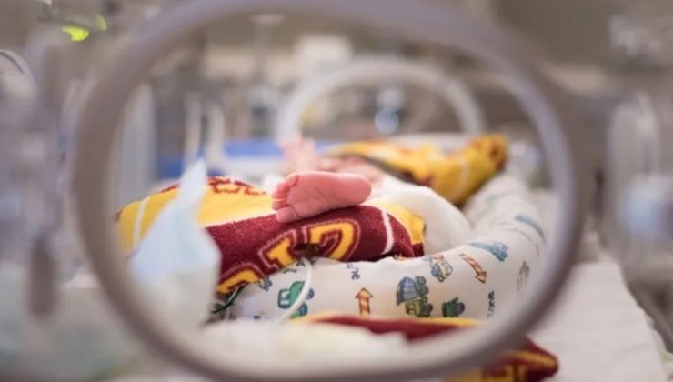 Hollanda’nın yetim bebek odaları: Sistem nasıl işliyor, ne kadar yaygın?