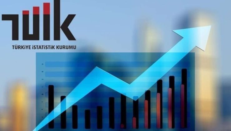 TÜİK eski Başkanı Birol Aydemir’den çarpıcı açıklama! ‘Hepsi yargılanmalı Mehmet Şimşek göz yumuyor’