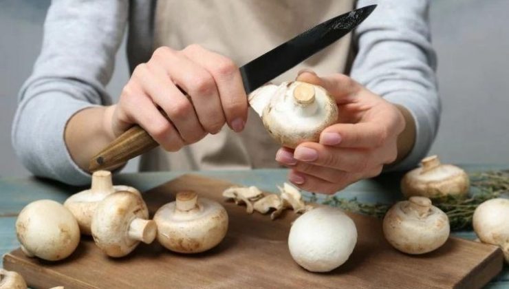 Mantarın doğru hazırlığı: İşte mantar temizlemenin püf noktaları…