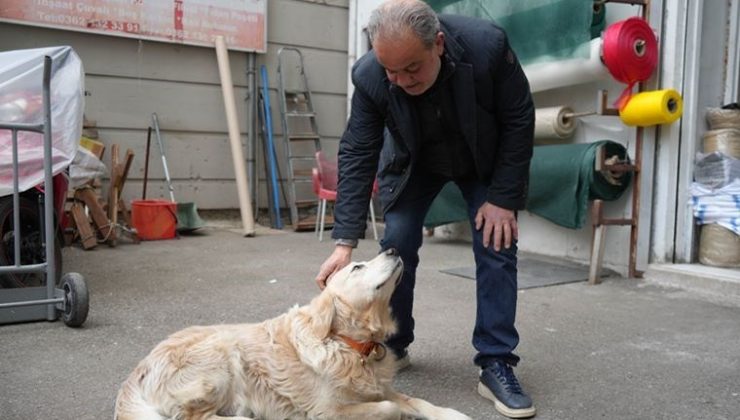 Köpeğin havlaması sahibine 700 bin TL’ye patladı