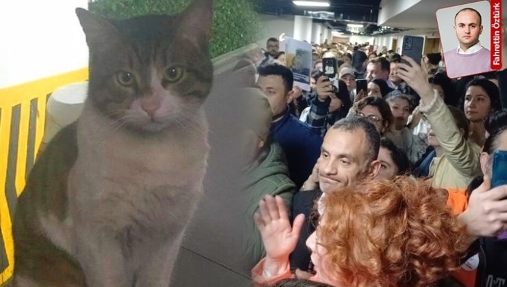 Türkiye Eros için adalet bekliyor: Savcıdan İbrahim Keloğlan için tutuklama talebi