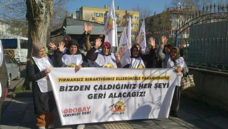 Bakanlığa yürüyen Agrobay işçileri: Koskoca bakanlar duymuyor
