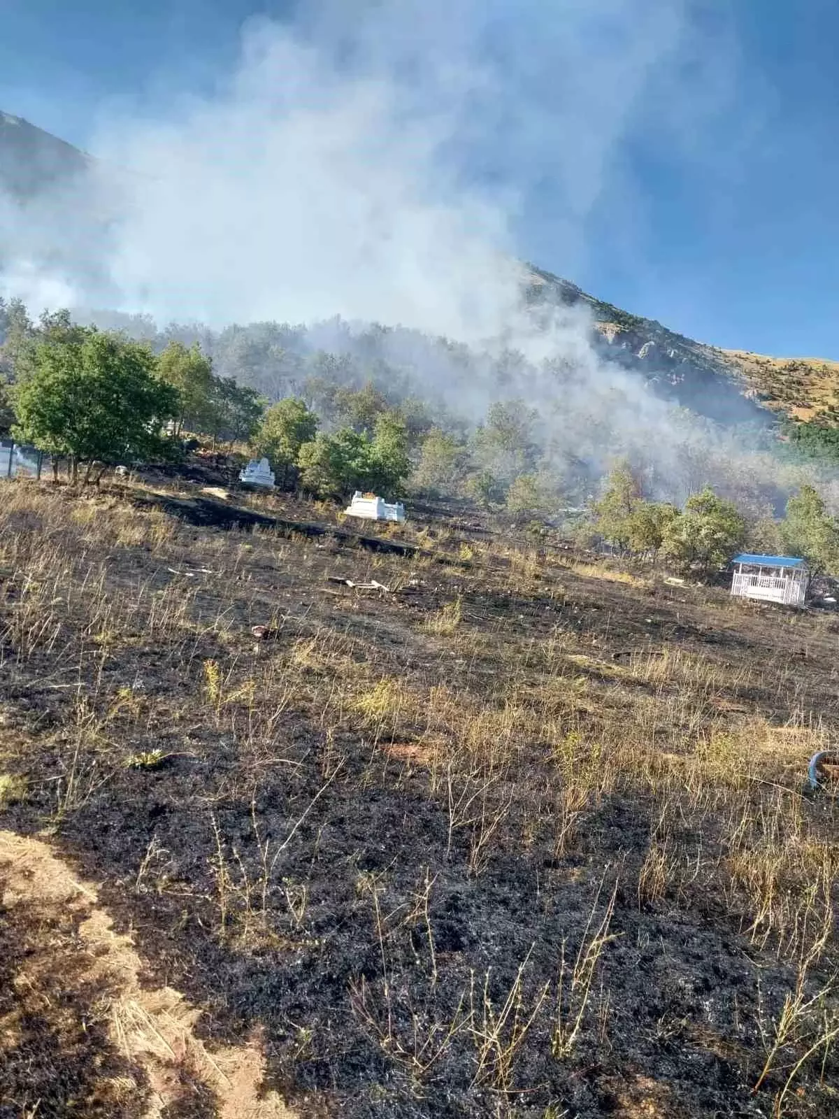 Tunceli’de mezarlıkta başlayan yangın kontrol altına alındı