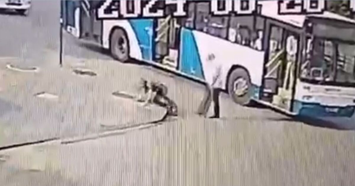 Yolcuyu darbeden şoför hakkında idari işlem
