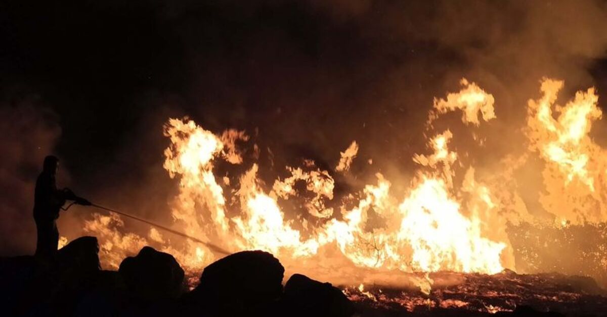 İzmir’de 3 noktada çıkan orman yangını söndürüldü